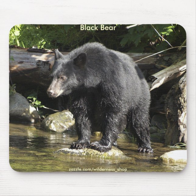 WILD WARRIORS Black Bear Photo Collection Mouse Mat (Front)