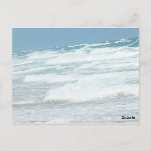 WILD WAVES OF DELRAY BEACH POSTCARD