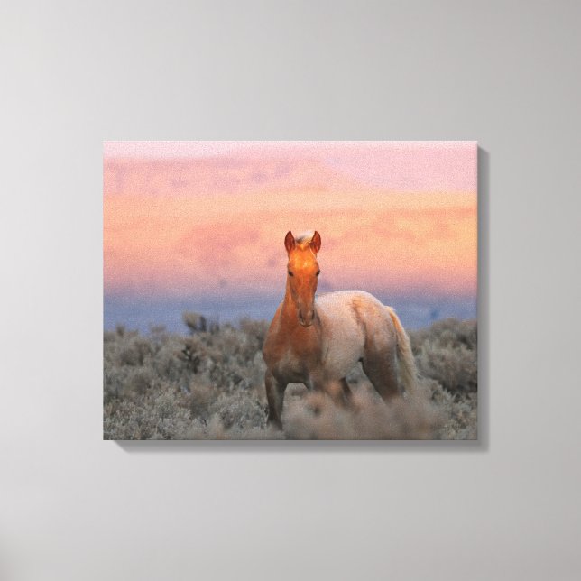 Wild West Colt  Canvas Print (Front)