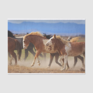Wild Western Horse Bucking Tissue Paper