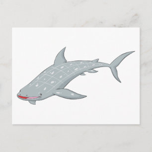 Wild Whale Shark Postcard