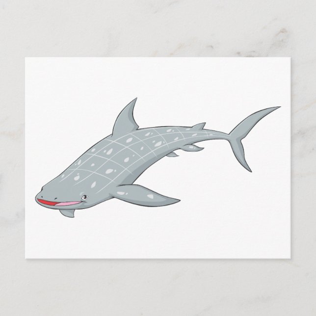 Wild Whale Shark Postcard (Front)