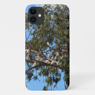 Wild White Australian Cockatoos, iPhone 11 Case