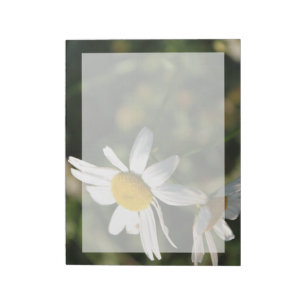 Wild white daisy flowers notepad