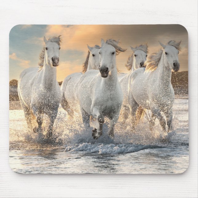 Wild White Horses Mouse Mat (Front)