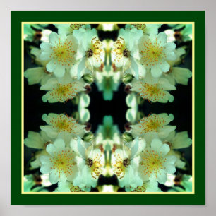 Wild White Rambling Roses Floral Art Abstract Poster
