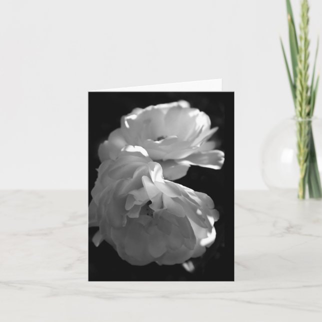 Wild White Roses Sympathy Blank Note Card (Front)