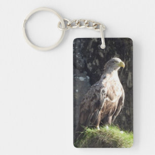 Wild White Tailed Eagle Predator On Rock Cliff Key Ring