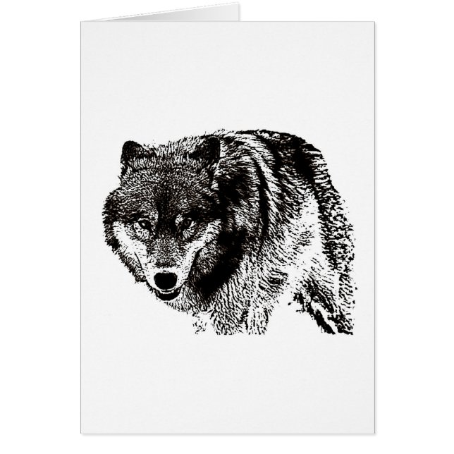Wild Wolf (Front)