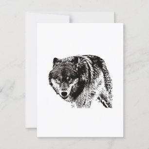 Wild Wolf Black & White Artwork Postcard