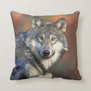 wild wolf cushion