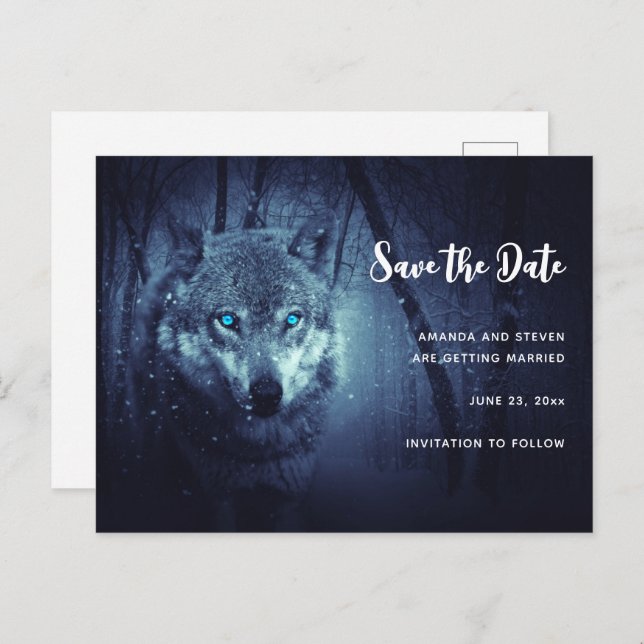 Wild Wolf with Beautiful Blue Eyes Save the Date Invitation Postcard (Front/Back)