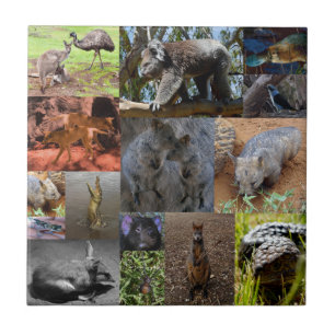 Wild Wonders: Captivating Australian Photo Collage Tile