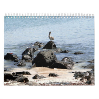 wild world of the Galapagos Calendar