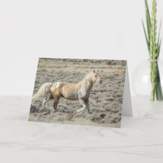 Wild Wyoming Stallion, Koda on a Blank Card 