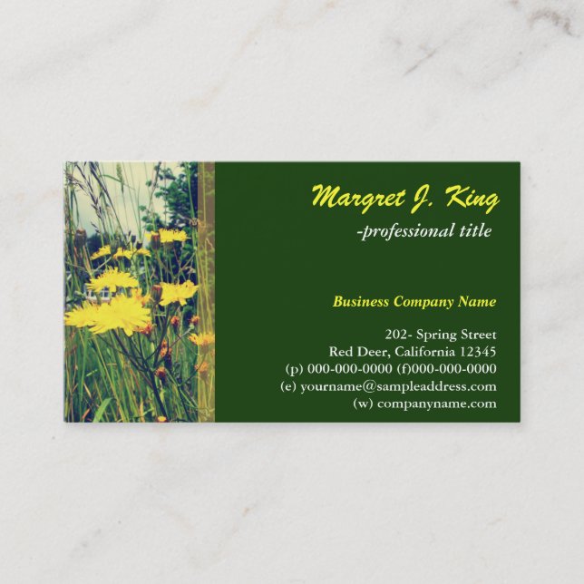 wild yellow dandelion flowers botanical art business card (Front)