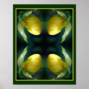 Wild Yellow Lady Slipper Orchid Flower Abstract Poster