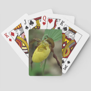 Wild Yellow Lady Slipper Orchid Flower  Playing Cards