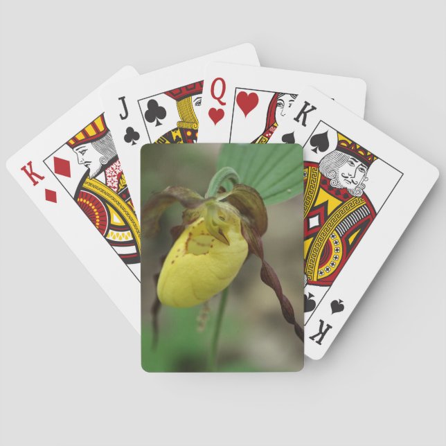 Wild Yellow Lady Slipper Orchid Flower  Playing Cards (Back)