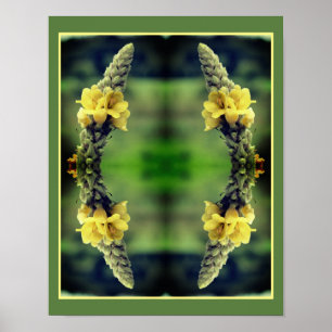 Wild Yellow Mullein Flower Abstract Poster