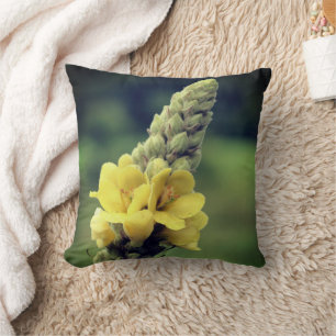 Wild Yellow Mullein Flower   Cushion