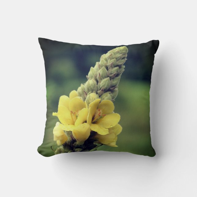Wild Yellow Mullein Flower   Cushion (Front)