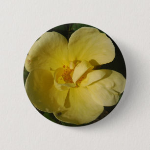 Wild Yellow Rose 6 Cm Round Badge
