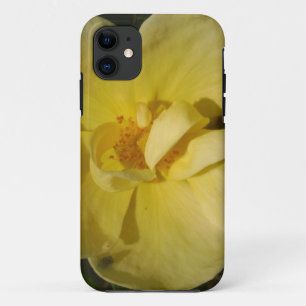 Wild Yellow Rose iPhone 11 Case