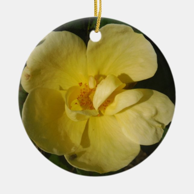 Wild Yellow Rose Ceramic Tree Decoration (Front)