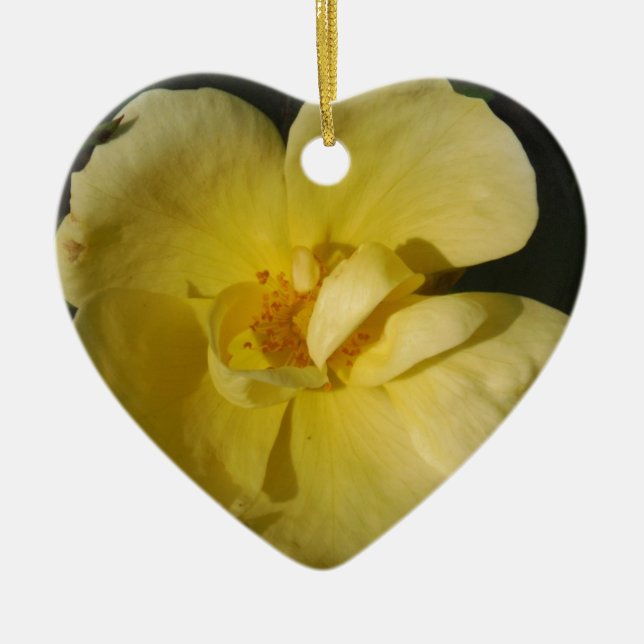 Wild Yellow Rose Ceramic Tree Decoration (Front)