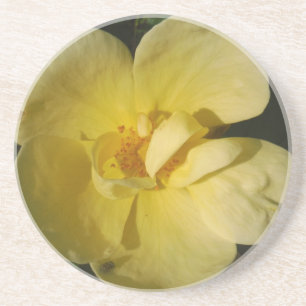 Wild Yellow Rose Coaster