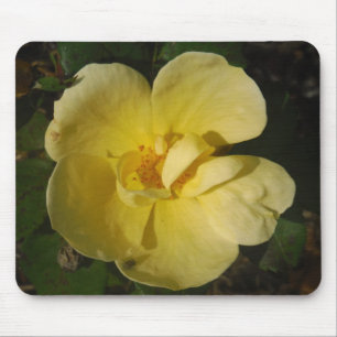 Wild Yellow Rose Mouse Mat