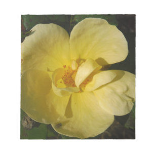 Wild Yellow Rose Notepad