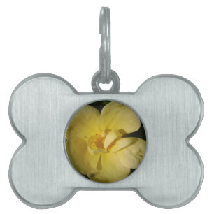 Wild Yellow Rose Pet Tag