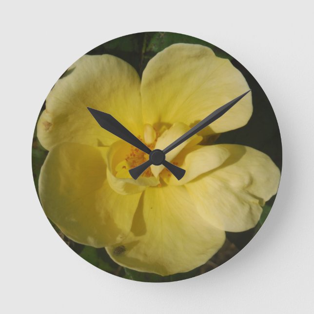 Wild Yellow Rose Round Clock (Front)
