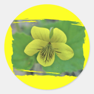 Wild Yellow Violet Coordinating Items Classic Round Sticker