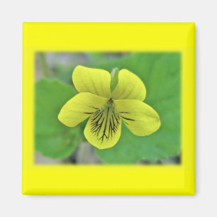Wild Yellow Violet Coordinating Items Magnet