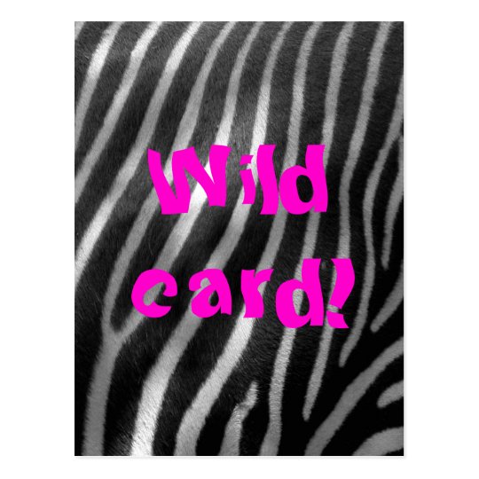 wild zebra background and text postcard