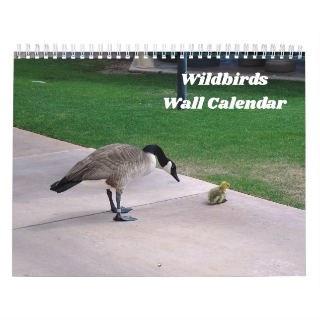 Wildbirds Wall Calendar (Cover)