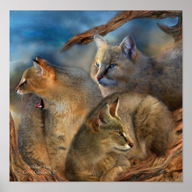 Wildcat Day Art Poster/Print Poster (Front)