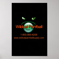 Wildcat Paintball
