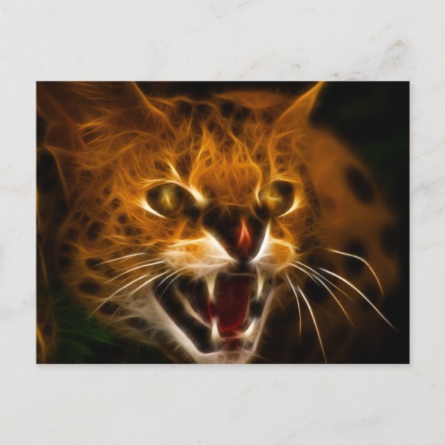 Wildcat Postcard (Front)