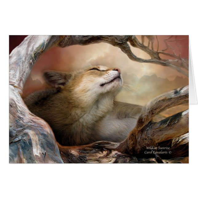 Wildcat Sunrise ArtCard (Front Horizontal)