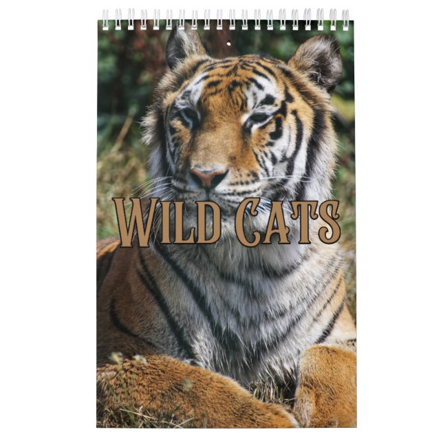 Wildcats Showcase Collection Wall Calendar (Cover)