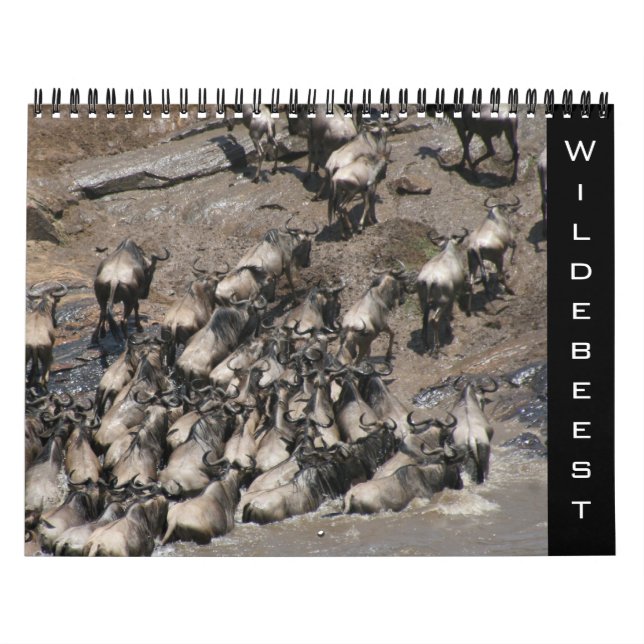 wildebeest 2026 calendar (Cover)