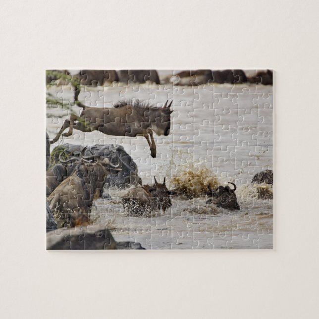 Wildebeest jumping into Mara River Jigsaw Puzzle (Horizontal)