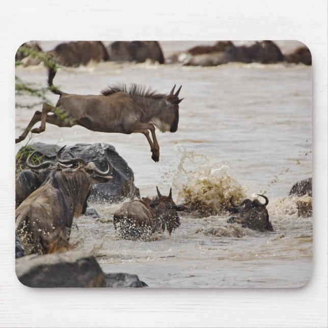 Wildebeest jumping into Mara River Mouse Mat (Front)