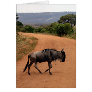 wildebeest road