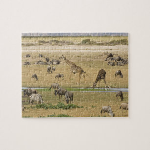 Wildebeests, Zebras and Giraffes Jigsaw Puzzle