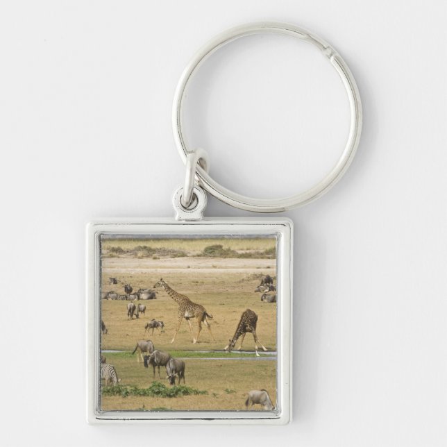Wildebeests, Zebras and Giraffes Key Ring (Front)